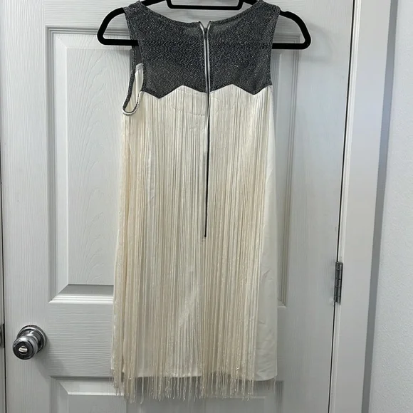 Fringe, flapper style dress - Picture 2 of 2